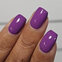 Image 5 of Purple Iris
