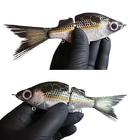 GWP GLIDER - (Shad)