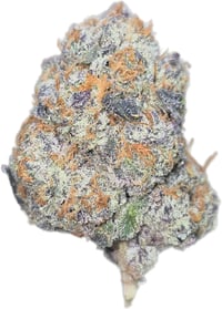 Exotic
