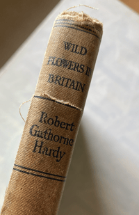 Image 6 of Wild Flowers in Britain Robert Gathorne-Hardy