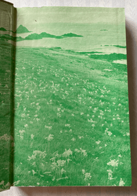 Image 7 of Wild Flowers in Britain Robert Gathorne-Hardy