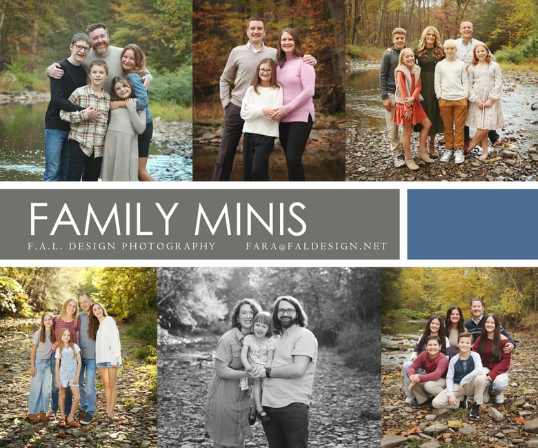 Image of 2026 Family Mini Sessions