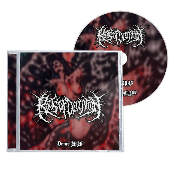 Image of ROOTS OF DECEPTION "DEMO 2026" CD