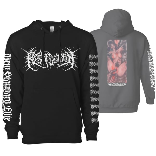 Image of ROOTS OF DECEPTION "DEMO" HOODIE