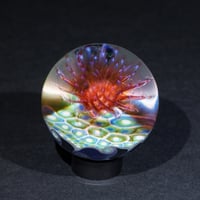Image 3 of Ghost Reticello Murrini Marble