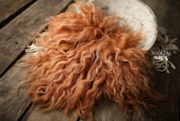 Spiced Pumpkin hand felted fur