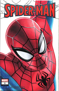 Image 1 of Spider-Man sketch Cover