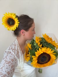Image 2 of xl sunflower claw