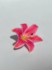 Image 1 of sarbonne lily clip