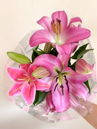 Image 4 of sarbonne lily clip