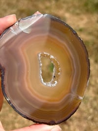 Image 5 of Agate Slice #1