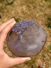 Image 1 of Agate Slice #2