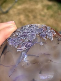 Image 3 of Agate Slice #2