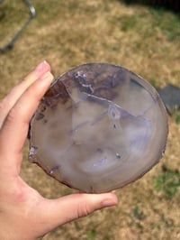 Image 4 of Agate Slice #2