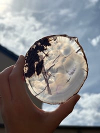 Image 5 of Agate Slice #2