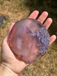 Image 7 of Agate Slice #2