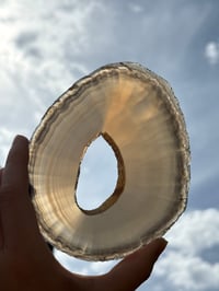 Image 3 of Agate Slice #4