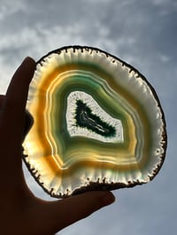 Image 1 of Agate Slice #5
