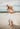 Anna Maria Island- Beach Session
