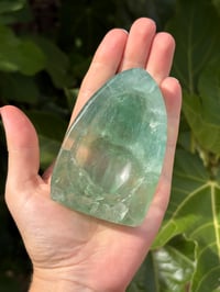 Image 8 of Fluorite Bowl #1
