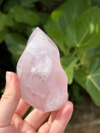 Image 6 of Rose Quartz Flame #4