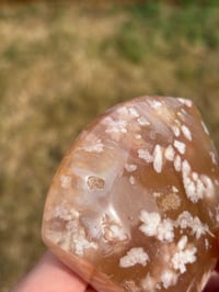 Image 3 of Flower Agate Freeform #7