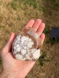 Image 7 of Flower Agate Freeform #8
