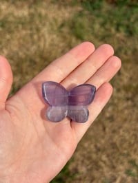 Image 5 of Fluorite 3D butterfly