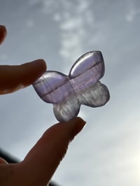 Image 7 of Fluorite 3D butterfly