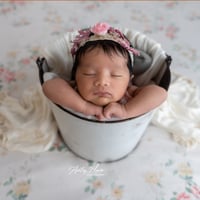 Newborn Sessions: Sept - Dec 2026