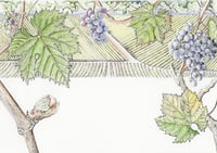 Image 2 of Art Cards *NEW!*