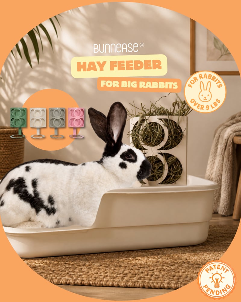 Image of Mrs. CleanHay Giant - High Quality Metal Hay Feeder for Rabbits