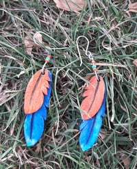 Colours of kingfisher earrings