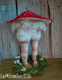 Image 1 of Mushroom Marcia