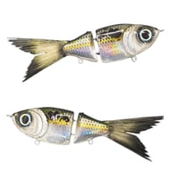 STG - (Shad)