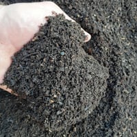 Worm Castings