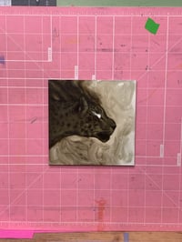 Image 1 of Smokey Jaguar