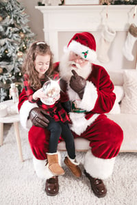Image 1 of THE SANTA EXPERIENCE (MINIS)