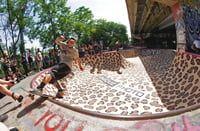 Image 2 of Celina Meehan Girls Sk8 Camp