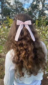 Image 3 of Longtail bow/ sunshine 