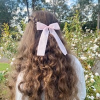 Image 1 of Longtail bow/ sunshine 
