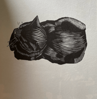Image 4 of John Nash's Cats