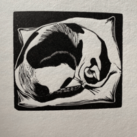 Image 5 of John Nash's Cats