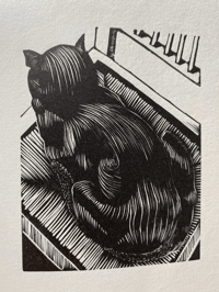 Image 7 of John Nash's Cats