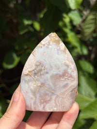 Image 2 of Flower Agate Freeform #12