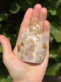 Image 4 of Flower Agate Freeform #12