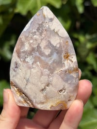 Image 2 of Flower Agate Freeform #13