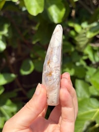 Image 9 of Flower Agate Freeform #13