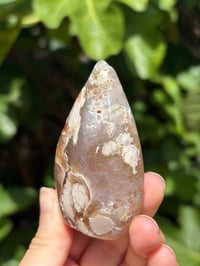 Image 2 of Flower Agate Freeform #14