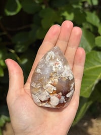 Image 4 of Flower Agate Freeform #14